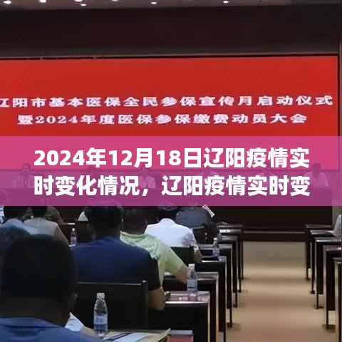 辽阳疫情实时变化观察与思考，聚焦2024年12月18日的疫情动态分析