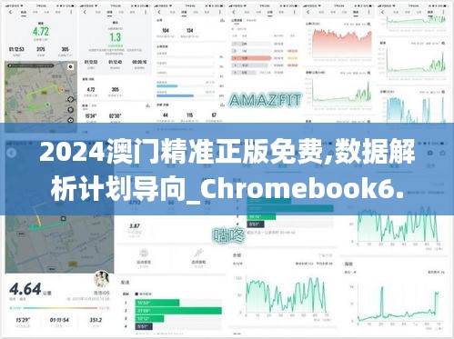 2024澳门精准正版免费,数据解析计划导向_Chromebook6.582