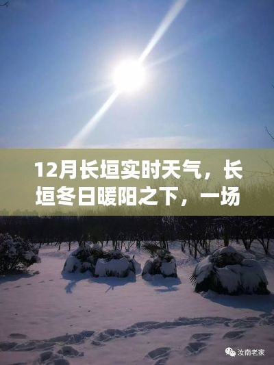 长垣冬日暖阳下的心灵之旅，实时天气与平静追寻