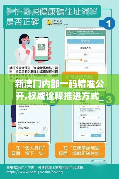 新澳门内部一码精准公开,权威诠释推进方式_开发版3.591