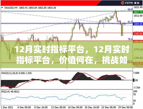 12月实时指标平台，价值、挑战及应对策略