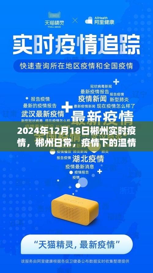 郴州实时疫情下的温情与陪伴，我们的故事持续更新