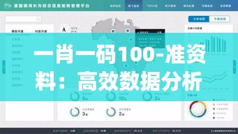 一肖一码100-准资料：高效数据分析利器