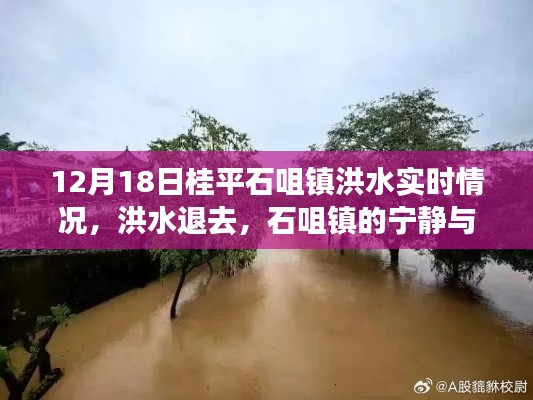 桂平石咀镇洪水退去后的宁静与力量，自然美景探索之旅