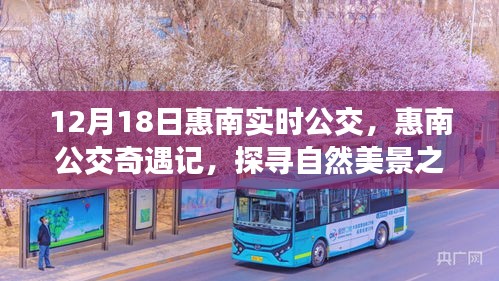 探寻自然美景之旅，惠南公交奇遇记，带你重拾内心的宁静与平和（12月18日惠南实时公交）