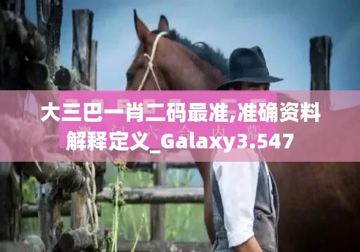 大三巴一肖二码最准,准确资料解释定义_Galaxy3.547