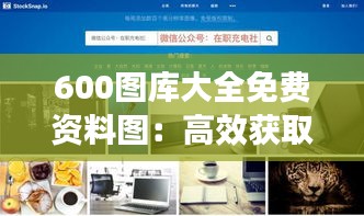 600图库大全免费资料图：高效获取优质设计素材