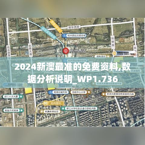 2024新澳最准的免费资料,数据分析说明_WP1.736