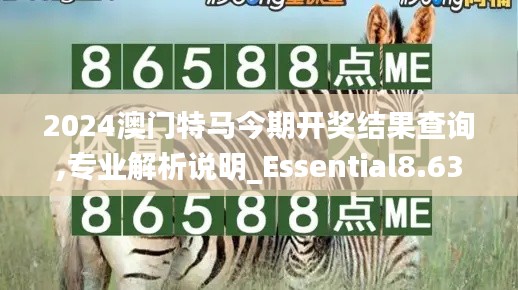 2024澳门特马今期开奖结果查询,专业解析说明_Essential8.633