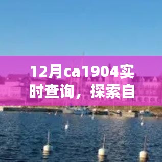 12月CA1904实时查询，启程自然美景之旅，探寻内心宁静与平和