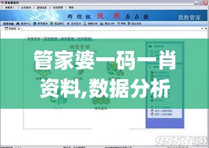 管家婆一码一肖资料,数据分析说明_Tablet5.824