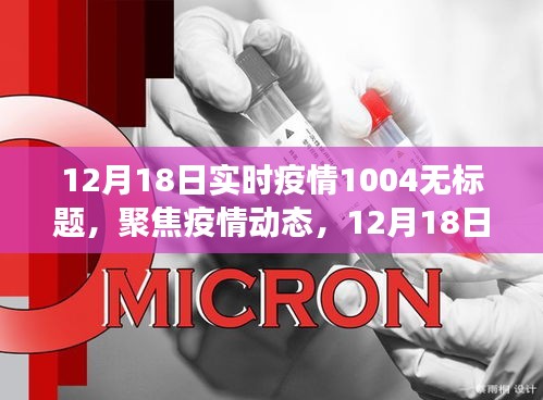 12月18日实时疫情动态报告，最新数据解读与聚焦疫情动态