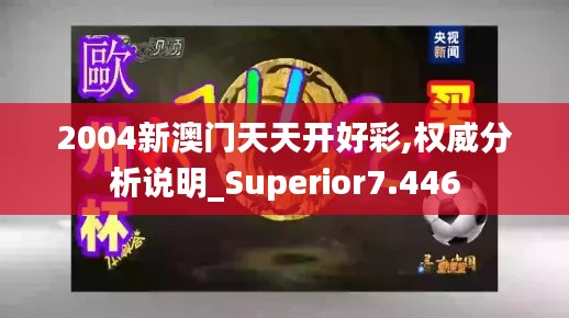 2004新澳门天天开好彩,权威分析说明_Superior7.446