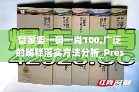 管家婆一码一肖100,广泛的解释落实方法分析_Prestige9.221