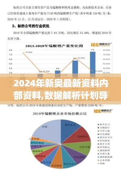 2024年新奥最新资料内部资料,数据解析计划导向_S18.658