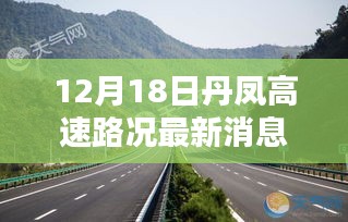 2024年12月19日 第7页