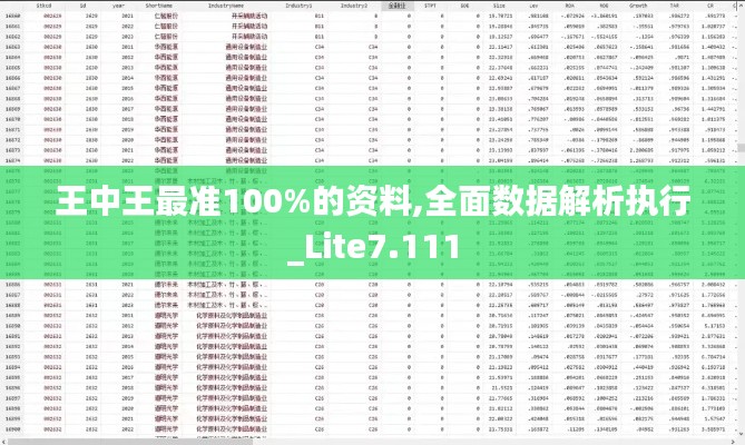 王中王最准100%的资料,全面数据解析执行_Lite7.111