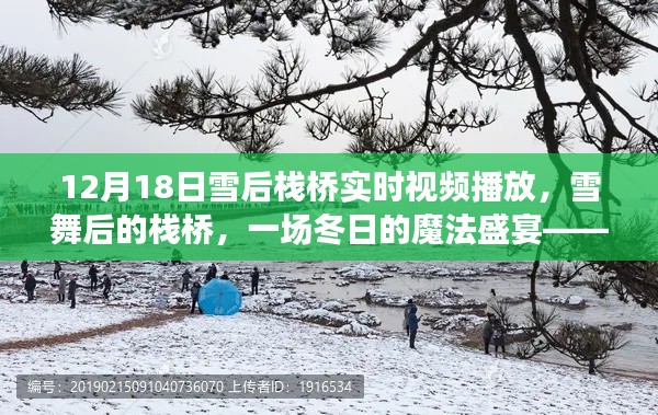 雪舞后的魔法盛宴，12月18日栈桥冬景实时直播欣赏