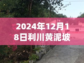 2024年12月18日利川黄泥坡路况实时查询全面解析与深度评测