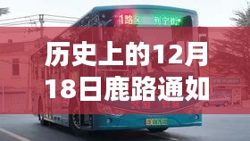 鹿路通导航，探寻公交实时信息与自然美景的穿越时光之旅。