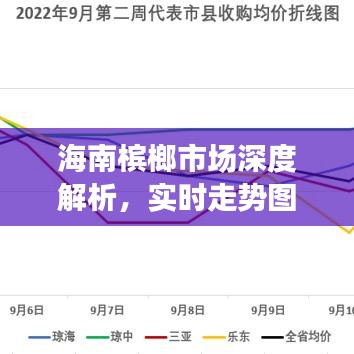 海南槟榔市场深度解析，实时走势图揭示槟榔产业新动向