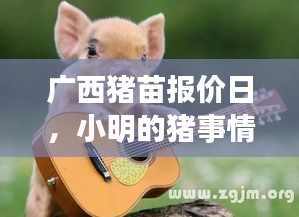 广西猪苗报价日，小明的猪事情缘与友情的纽带