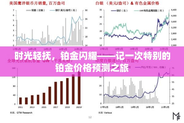 时光轻抚下的铂金光辉，一次特别的铂金价格预测之旅