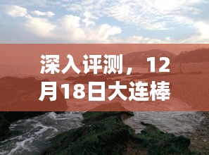 深度评测，大连棒棰岛12月18日实时路况介绍与体验分析