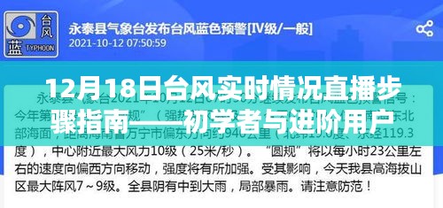 台风实时直播指南，从初学者到进阶用户的直播步骤与注意事项