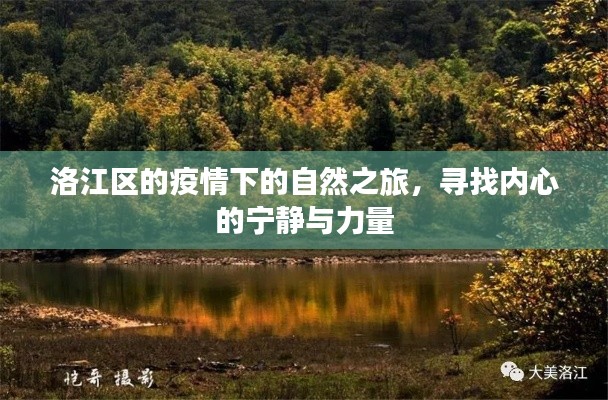 洛江区疫情下的自然探索，内心宁静与力量的追寻