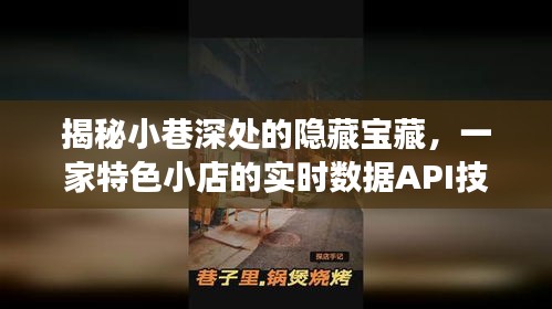 小巷深处的秘密宝藏，特色小店的实时数据API技术揭秘