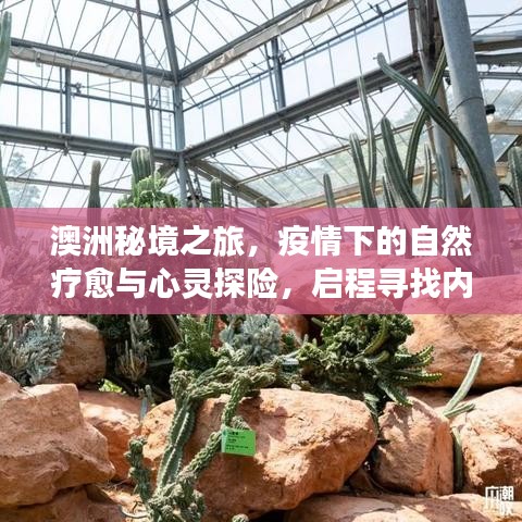 澳洲秘境之旅，疫情下的自然疗愈与心灵探险之旅，探寻内心宁静圣地