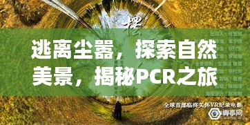 揭秘PCR之旅背后的故事，逃离尘嚣，探寻自然美景的探险之旅