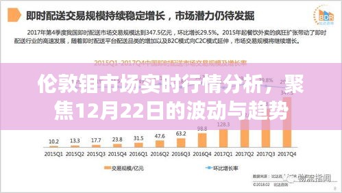 伦敦钼市场实时行情解析，12月22日波动与趋势聚焦