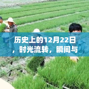 时光流转下的历史瞬间，实时解析历史上的十二月二十二日