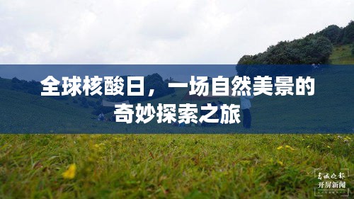 全球核酸日，自然美景的奇妙探索之旅