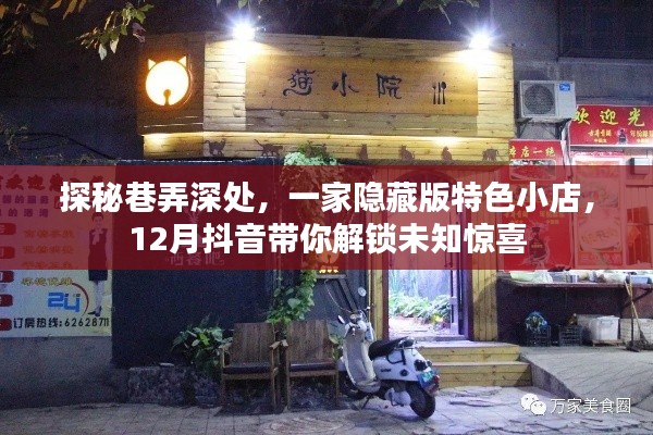 探秘巷弄深处的隐藏特色小店，抖音带你解锁未知惊喜（12月限定）