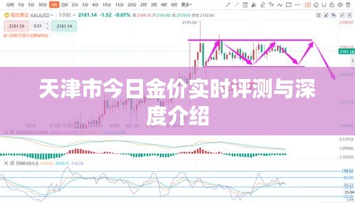 天津市今日金价实时评测及深度解读