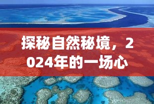 探秘自然秘境，心灵之旅启程于2024年