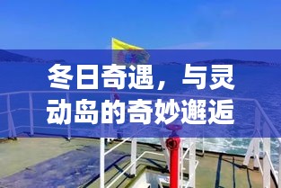 冬日奇遇，与灵动岛的浪漫邂逅及自然美景探索之旅