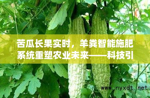 科技引领苦瓜种植革新，羊粪智能施肥系统重塑农业未来