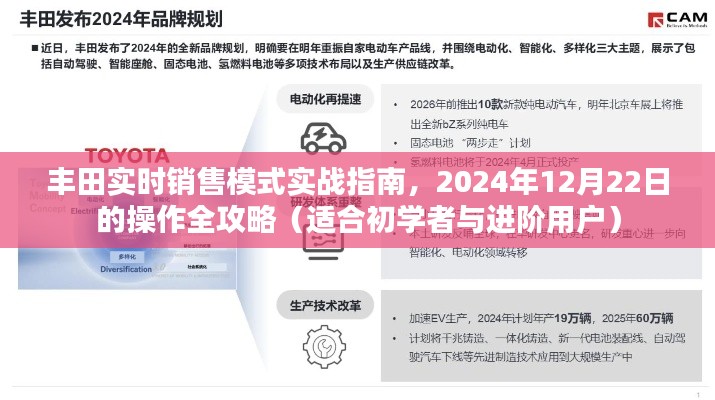 丰田实时销售模式实战指南，从入门到进阶的全攻略（适用于初学者与进阶用户）