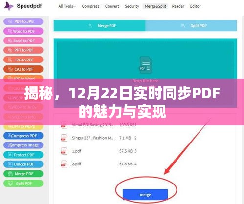 揭秘，实时同步PDF的魅力与实现之道（12月22日揭秘）