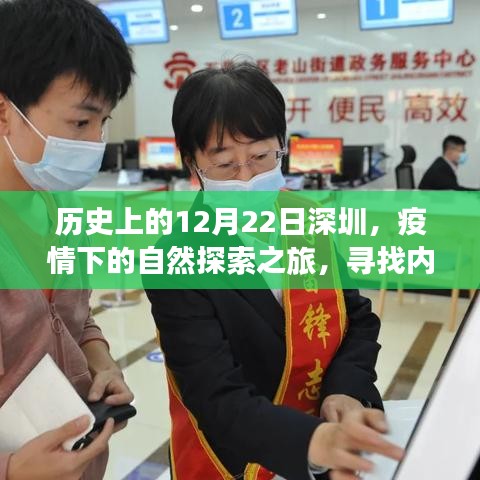 深圳疫情下的自然探索之旅，寻找内心的宁静与平和——历史上的十二月二十二日回顾