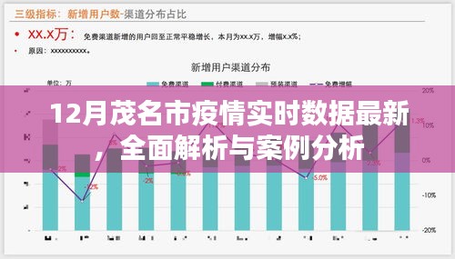 茂名市疫情实时数据解析与案例分析报告（最新更新）