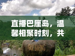 直播巴厘岛，共度美好时光，温馨相聚时刻