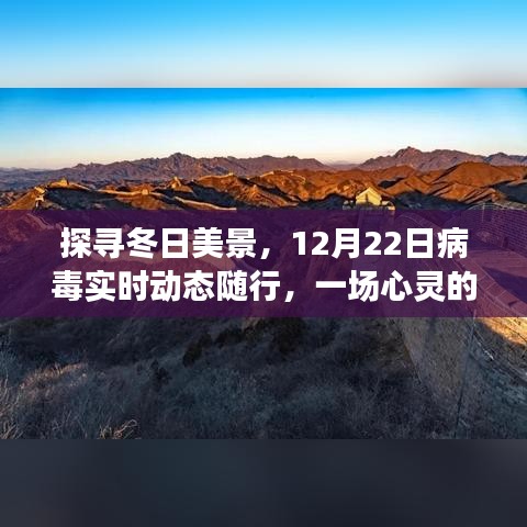 探寻冬日美景与病毒实时动态，心灵旅行的启程