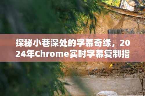 探秘小巷深处的字幕奇缘，Chrome实时字幕复制指南（2024版）