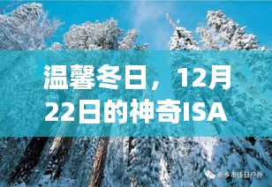 温馨冬日神奇ISAR成像之旅，揭秘12月22日的神秘面纱