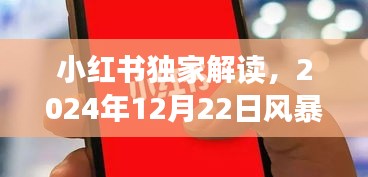 小红书独家解读，2024年风暴实时分析与气象变化一网打尽！